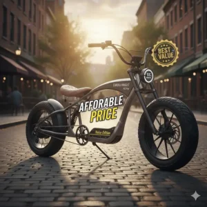 A vibrant illustration showing an affordable electric chopper bike for adults, emphasizing its great value.