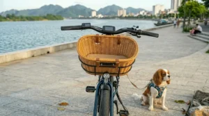 A compact folding electric bike with a quick-release removable front basket.