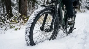 Illustration of an all season electric bike with fat tires designed for traction in snow and slush.