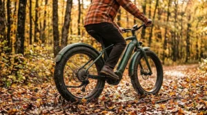Illustration of a commuter e-bike with mudguards protecting the rider from fall rain and puddles.