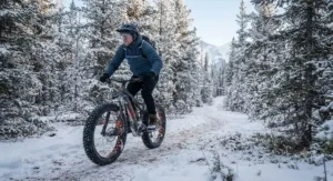 Riding an electric fat bike across a snow-dusted forest trail on a clear winter day.